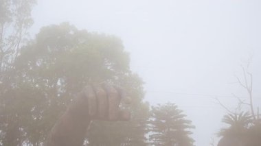 Dev Taş El, ağaçların yanında, Geniş Açı görüşlü, sessiz tonlarda, Ba Na Hills 'te yumuşak atmosferik atmosfer yaratarak, ağır sislerin içinden çıkıyor.