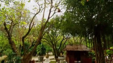 Wide Angle View of Dog Pack Barking at Monkey Hidden in Tree among Stone Path, Pots and Rustic Hut under Green Canopy, Animal Interaction Concept