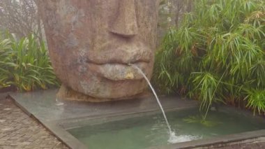 Büyük Taş Başlı Pınar Sulama Suyu Etrafı Yoğun Yeşil Bitkilerle çevrili Yumuşak Sisli Yakın Görüş Ba Na Hills Vietnam, Sanatsal Heykel