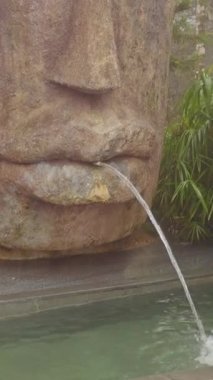 Dikey video. Büyük Taş Başlı Pınar Sulama Suyu Etrafı Yoğun Yeşil Bitkilerle çevrili Yumuşak Sisli Yakın Görüş Ba Na Hills Vietnam, Sanatsal Heykel