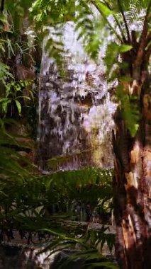 Dikey video. Düşük Açılı Yavaş Şelale Görüntüsü Yoğun Eğreltiotları ve Güneş Işıklı Tropikal Bitkiler Arasında Bir Orman Serenity Konsepti Oluşturur