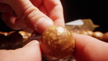 Ekstrem Yakın Çekim İnsan Parmağı Macadamia Nut Yakındaki Özel Metal Anahtar, Manüel Kabuk Açma Eylemi, Dikkatli Yemek Hazırlama, Hassas Tutuş, Mutfak Yeteneği Konsepti