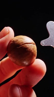 Dikey video. Ellerin Dolly Kaydırma Çekimini Kapat Macadamia Cevizini Özel Metal Anahtarla Açma, Siyah Arkaplanda Kılavuz Kırma Süreci, Gıda Hazırlama Gösterisi, Sağlıklı Atıştırma Konsepti