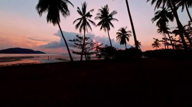 Yavaş İnsansız Hava Aracı, Sakin Tropikal Plaja Doğru Uzun Palmiye Ağaçları ve Okyanus Yansımaları ve Katmanlı Bulutlar, Tropikal Kaçış Konsepti ile Pembe Portakal Günbatımının arasında süzülüyor.
