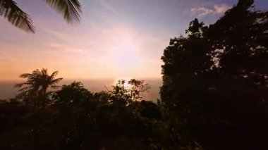 Yavaş İHA İHA Uçuşu Yoğun Kıyı Ormanı 'ndan süzülerek Sakin Deniz' in üzerinde Parlak Altın Gün batımına doğru ilerlerken Ağaçların Arasında Sıcak Işık Kırılıyor, Doğa Kaçışı Konsepti