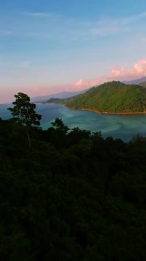 Hızlı İHA İleri Dalış Orman Sırtı üzerinde ve Turkuvaz Suyu ve Açık Gök, Keşif ve Hareket Konsepti altında Kum Sahil ile Geniş Tropikal Körfezi Açıyor