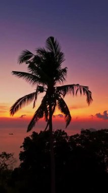 Static Drone Hover, Deep Orange Mor Günbatımına karşı Uzun Palmiye Ağacı Siluetini Uzak Adalar ve Karanlık Tropikal Yeşillikler, Tropikal Akşamlar Konsepti ile vurdu