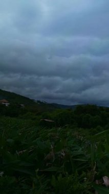 Dikey video. Şiddetli Fırtına Bulutları Altında Yoğun Yeşil Tepelerin Geniş Açı Görünümü Karanlık Gök Katmanları ve Sisli Ufuk Zaman Akımı, Doğa Ruh Hali Kavramı