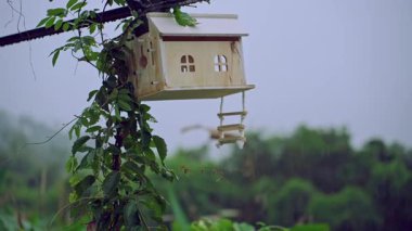Hafif tropikal yağmurda asılmış küçük bir salıncakta sallanan ahşap bir kuş evi Yumuşak yeşil bir ormanın arka planına karşı ağır çekimde yakalandı