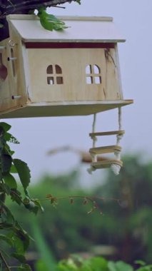 Dikey video. Hafif tropikal yağmurda asılmış küçük bir salıncakta sallanan ahşap bir kuş evi Yumuşak yeşil bir ormanın arka planına karşı ağır çekimde yakalandı
