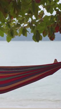 Dikey video. Parlak çizgili bir hamakta dinlenen bir kadın, sakin okyanus dalgalarıyla telefonuna bakarak huzurlu bir sahil anı yaratıyor.