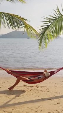 Dikey video. Sahil kıyısındaki iki palmiye ağacı arasındaki simetrik manzara, dengeli tropikal kompozisyon.