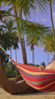 Dikey video. Çıplak Ayaklar Palmiye ağaçlarıyla Renkli Hamakta Dinleniyor ve Rocky Shore Sakin Tropikal Kaçış Ortamı Yaratılıyor