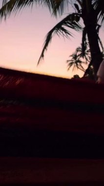 Dikey video. Huzurlu bir Günbatımı sahnesinde bir kadın, hamakta uzanmış Palm Trees 'in altında sakin bir tropik sahil kıyısının yanında telefon tutuyordu.
