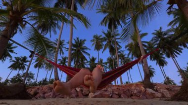 Düşük açılı bir görüntü, uzun palmiye ağaçlarının altında sıcak bir Tropikal Kaçış yaratan bir kadının kumlu ayaklarını gösteriyor.