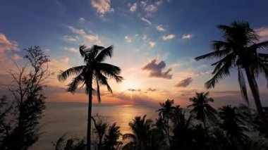Tropikal Okyanus Üzerindeki Hava Günbatımı Palmiye Ağaçlarının Çerçevelediği Güneş Işıkları Bulutların Arasından Geçiyor, Sıcak Akşam Işığı ve Egzotik Ada Atmosferi