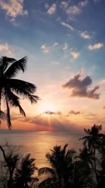 Dikey video. Tropikal Okyanus Üzerindeki Hava Günbatımı Palmiye Ağaçlarının Çerçevelediği Güneş Işıkları Bulutların Arasından Geçiyor, Sıcak Akşam Işığı ve Egzotik Ada Atmosferi