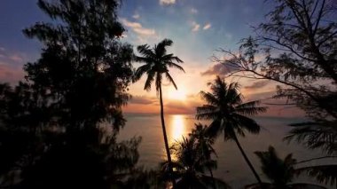 Durgun Okyanusun Üzerinde Parlayan Gün Batımına Karşı Palmiye Ağacı Silueti Suyun Üzerinde Ilık Işık Huzurlu Tropikal Ortam Oluşturuyor