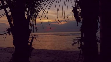 Palmiye ağaçları, alçak güneş etrafında, yumuşak dalgalar ve koyu tropikal gökyüzü ile okyanus yüzeyine değen doğal bir çerçeve oluşturur.