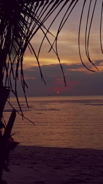 Dikey video. Palmiye ağaçları, alçak güneş etrafında, yumuşak dalgalar ve koyu tropikal gökyüzü ile okyanus yüzeyine değen doğal bir çerçeve oluşturur.