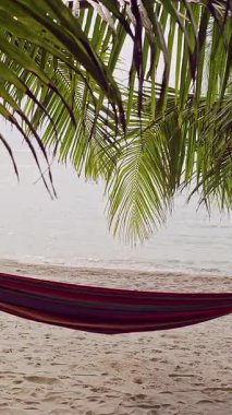 Dikey video. Kumsala bakan kumsaldaki palmiye ağaçları arasındaki boş hamak, iş ve dinlenme arasındaki duraksamayı simgeliyor.