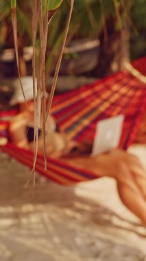 Dikey video. Palm Leaves in Fronground with Woman Hamakta Dizüstü bilgisayarda çalışıyor Derinlik ve Tropik Uzaktan Çalışma Ortamı Oluşturuyor