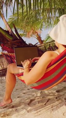 Dikey video. Hamakla Yüzleşen Hamak 'ta, Tropikal Çevredeki Palmiye Ağaçları Altında Kadının Dizüstü Üzerinde Çalışırken Arka Görünümü