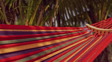 Palmiye ağaçlarının arasına gerilmiş renkli hamak kumaşının yakın görüntüsü Sakin Tropikal Rahatlama Atmosferi Oluşturur