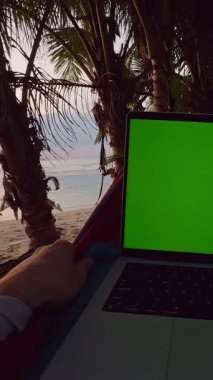 Dikey video. Yeşil ekranlı dizüstü bilgisayarın ilk perspektifi tropik plajın yakınındaki hamakta dinleniyor, Palm Trees ve Sessiz Okyanus Altın Saati Uzaktan Çalışma ve Seyahat Yaşam Tarzı