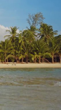 Dikey video. Palmiye ağaçları ve yoğun yeşil ormanları olan tropikal bir ada. Mavi gökyüzünün altında yumuşak bulutlar eşliğinde sığ sulardan görülebiliyor. Egzotik seyahat ve doğa kaçışı yaratıyor.