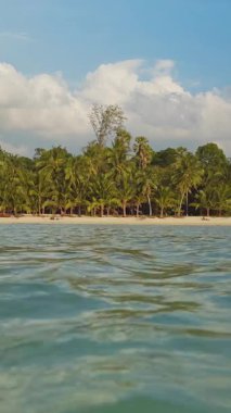 Dikey video. Sakin Tropikal Deniz manzarası Palmiye ağaçlarıyla kumsala bakan ve açık mavi gökyüzünün altında gür bir orman ve huzurlu ada manzarasını gösteren beyaz bulutlar