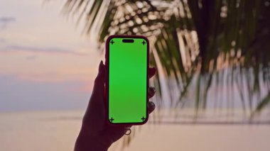 Palm Leaves 'li Tropikal Günbatımına karşı Yeşil Ekranlı Akıllı Telefonun İlk Kişi Görünümü Mobil Reklamcılık ve Seyahat Pazarlama