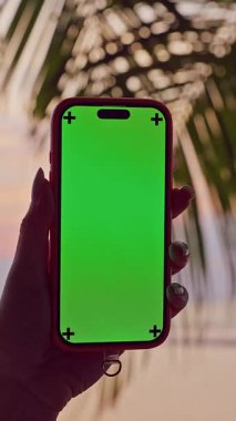 Dikey video. Palm Leaves 'li Tropikal Günbatımına karşı Yeşil Ekranlı Akıllı Telefonun İlk Kişi Görünümü Mobil Reklamcılık ve Seyahat Pazarlama