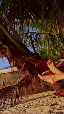 Dikey video. Kumsaldaki palmiye ağaçlarına bağlanmış renkli hamakta uzanan kadın manzarası, Tropikal dinlenme ve tasasız tatil havası