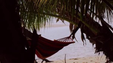 Yaprakların çerçevelediği deniz manzaralı kumsal üzerindeki palmiye ağaçları arasında asılı duran hamak rahatlatıcı tropikal tatil havası yaratıyor.