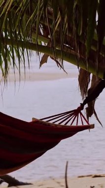 Dikey video. Yaprakların çerçevelediği deniz manzaralı kumsal üzerindeki palmiye ağaçları arasında asılı duran hamak rahatlatıcı tropikal tatil havası yaratıyor.
