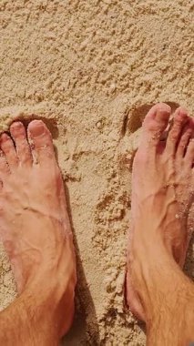 Dikey video. Palmiye ağacının gölgesiyle sıcak kumların üzerinde duran çıplak insan ayakları rahatlatıcı tropikal tatil havası ve düşünceli plaj eğlencesi yaratıyor.