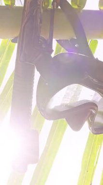 Dikey video. Güneş ışığı ve Yaprak Gölgeleri ile Palm Tree 'de asılı duran Şnorkel Maskesi Minimum Tropikal Seyahat ve Okyanus Macerası Hissediyor