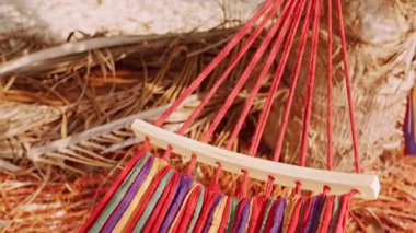 Dişi Eller Hamak Halatını Palmiye Ağacına Bağlıyor Tropikal Dinlenme Alanını Gösterme Alanına