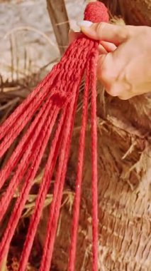 Dikey video. Dişi Eller Hamak Halatını Palmiye Ağacına Bağlıyor Tropikal Dinlenme Alanını Gösterme Alanına