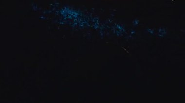 Mavi Biyolüminesans Plankton Parıltısı ile Gece Denizi Yüzeyi Su Yansıtan Sıcak Şehir Işıkları Atmosferik Kıyı Sahnesi