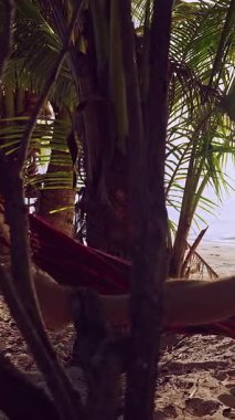 Dikey video. Kumlu sahildeki palmiyelere bağlı bir hamakta uzanan bir adam. Arka planda sakin bir tatil anı ve rahat bir ada yaşam tarzı olan okyanus.