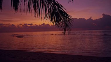 Tropikal okyanus kıyıları gün batımında palmiye yaprağı silueti, sakin deniz ve renkli gökyüzü, huzurlu akşam manzarası ve sakin ada atmosferiyle