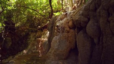 Katmanlı Kaya Şelalesinin Geniş Görüş Akımı Etrafı Yavaş Akan Bereketli Tropikal Sebzelerle çevrili Huzurlu Orman Manzarası ve Derin Doğa Dalma Hissediyor