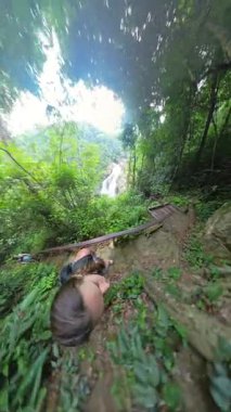 Dikey video. Uzak şelaleye doğru inen orman merdivenlerinin üst görüntüsü, Keşif Yolculuğunu vurgulayan hareket bulanıklığı etkisi