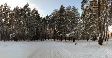 Kış manzarası: Ormanda karla kaplı çayırlıklar