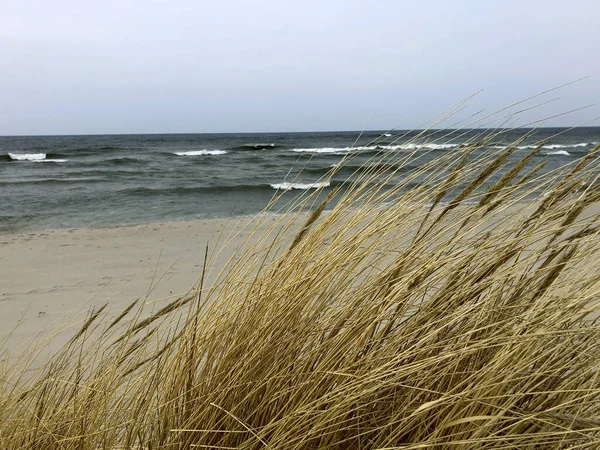 Zandstrand aan Oostzee — Stockfoto