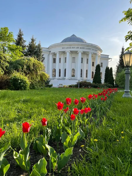 Teatro anatomico dell'Università di Kazan con tulipani rossi in primo piano — Foto Stock