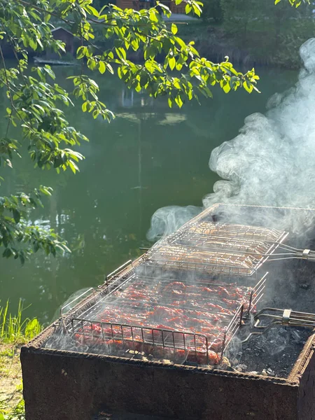 Meat on the grill in clouds of smoke near the lake — Stock Photo, Image