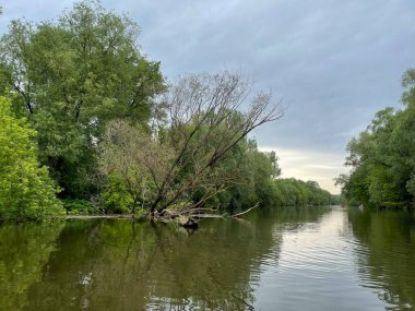 Sularına yansıyan ağaçların arasında yavaşça akan bir nehir.